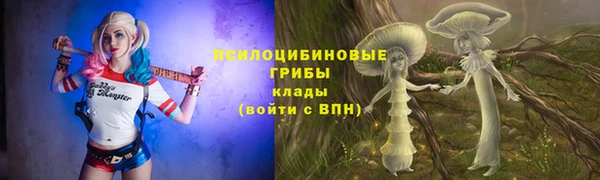 прущая мука Нефтегорск
