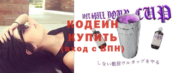 первитин Заводоуковск