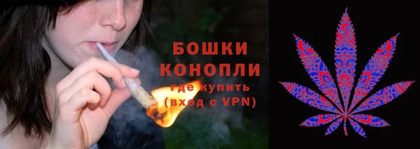 винт Надым