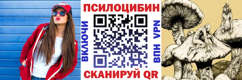 blacksprut ТОР Кондрово Псилоцибиновые грибы прущие грибы